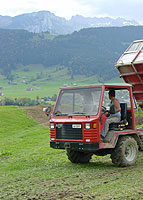 Rusch Erdbewegungen GmbH - Transporte - Transporter mit Kipper 2 m3 - Aebi TP 97