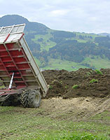 Rusch Erdbewegungen GmbH - Transporte - Transporter mit Kipper 2 m3 - Aebi TP 97